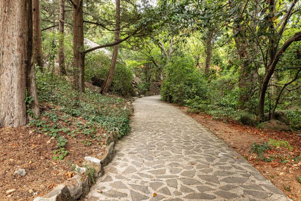 Stone Walkway Repair in Terre Haute