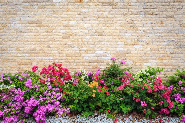 Garden Wall Building