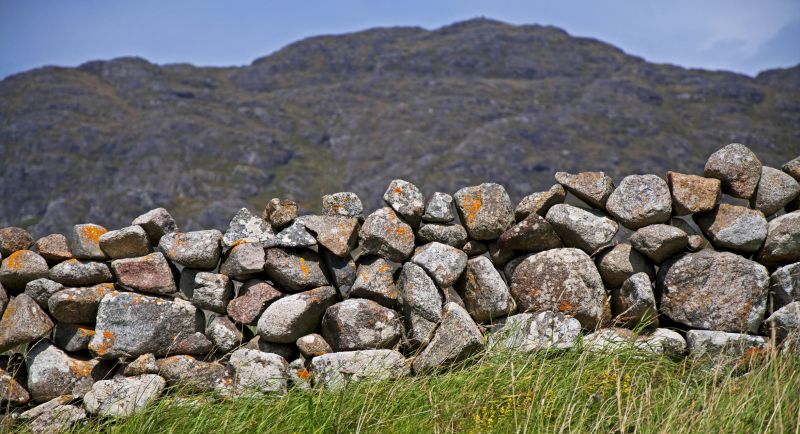 Rock Wall Landscaping detail